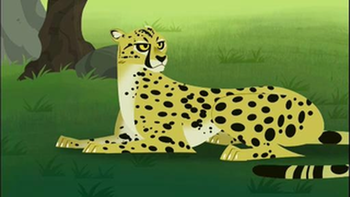wild kratts cheetah disc